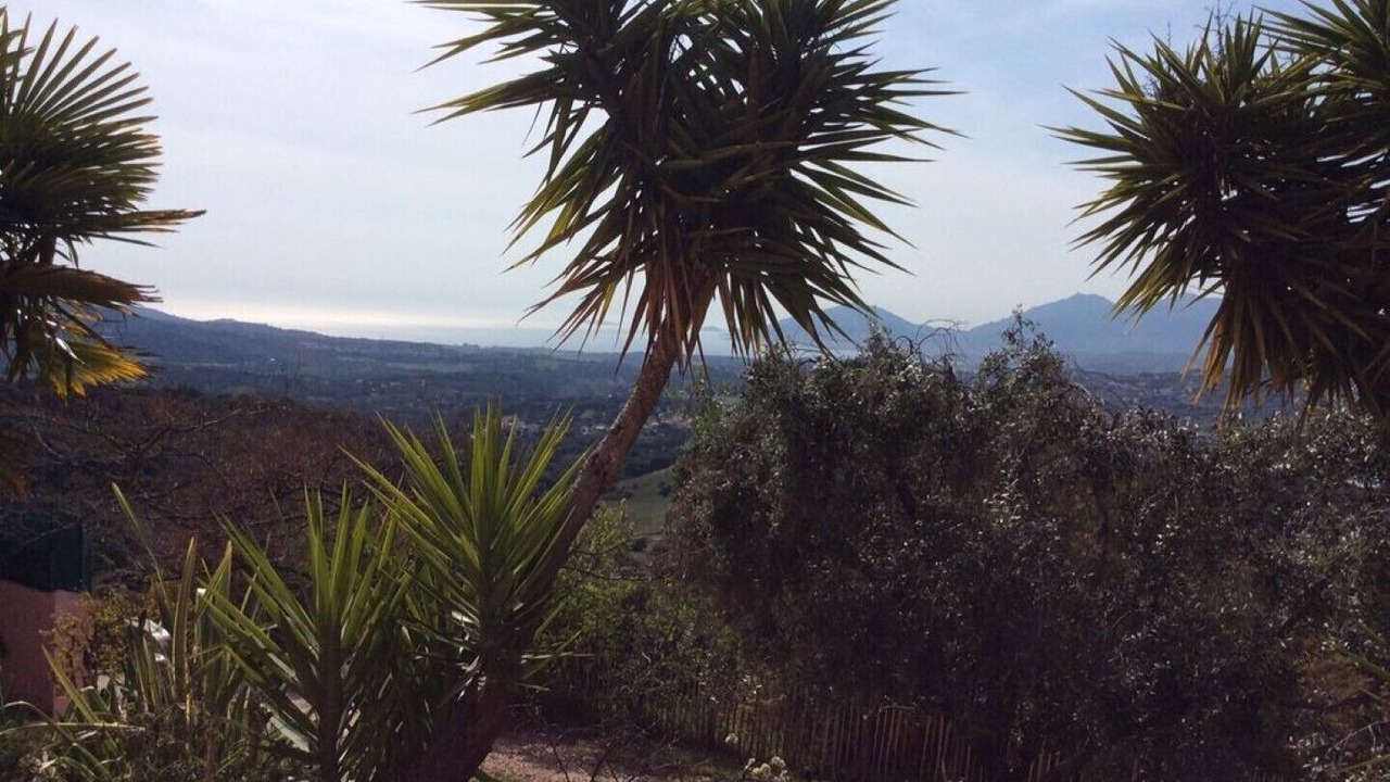 Photo of Outdoor in Eccica-Suarella
