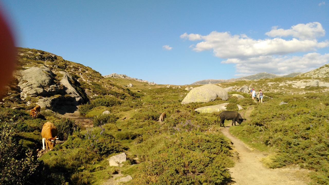 Photo of Outdoor in Pinarellu