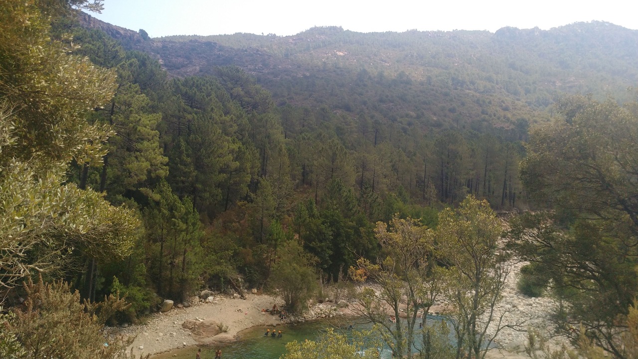 Photo of Others in Pinarellu