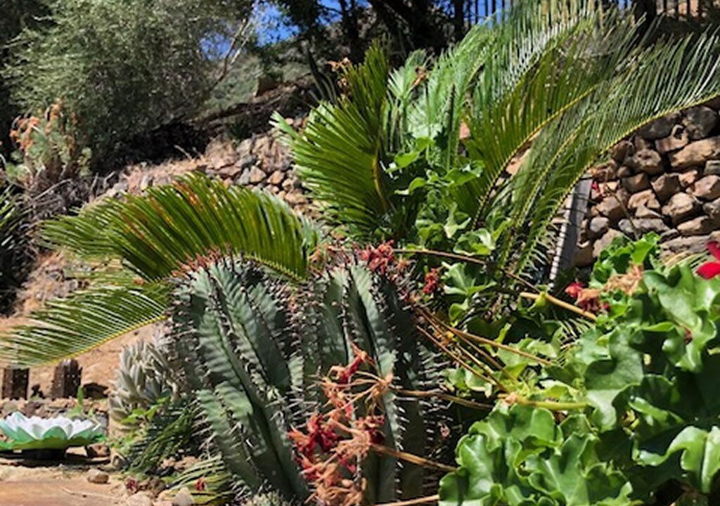 Photo of Outdoor in Osani