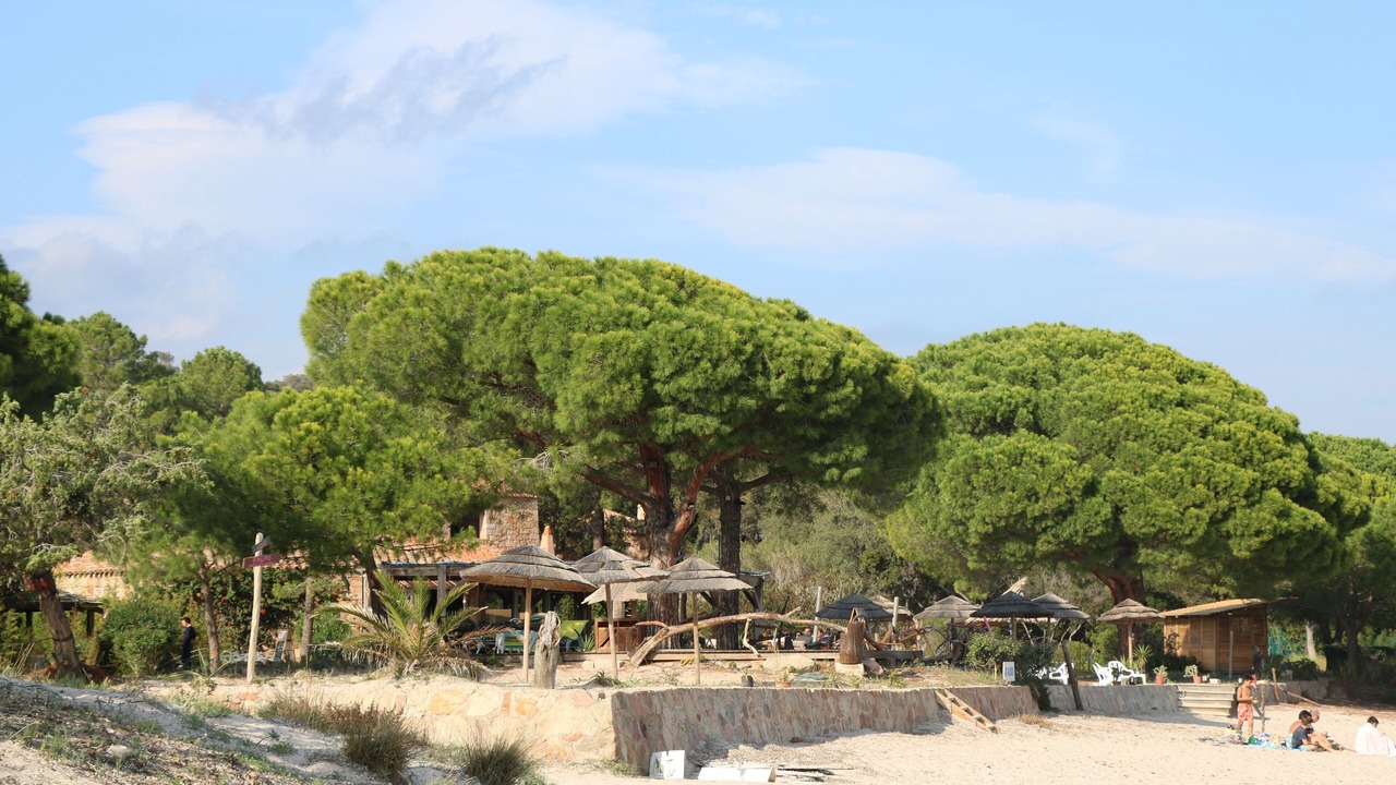 Photo of Others in Sainte-Lucie-de-Porto-Vecchio
