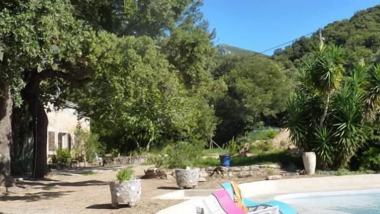 Photo of Outdoor in Patrimonio