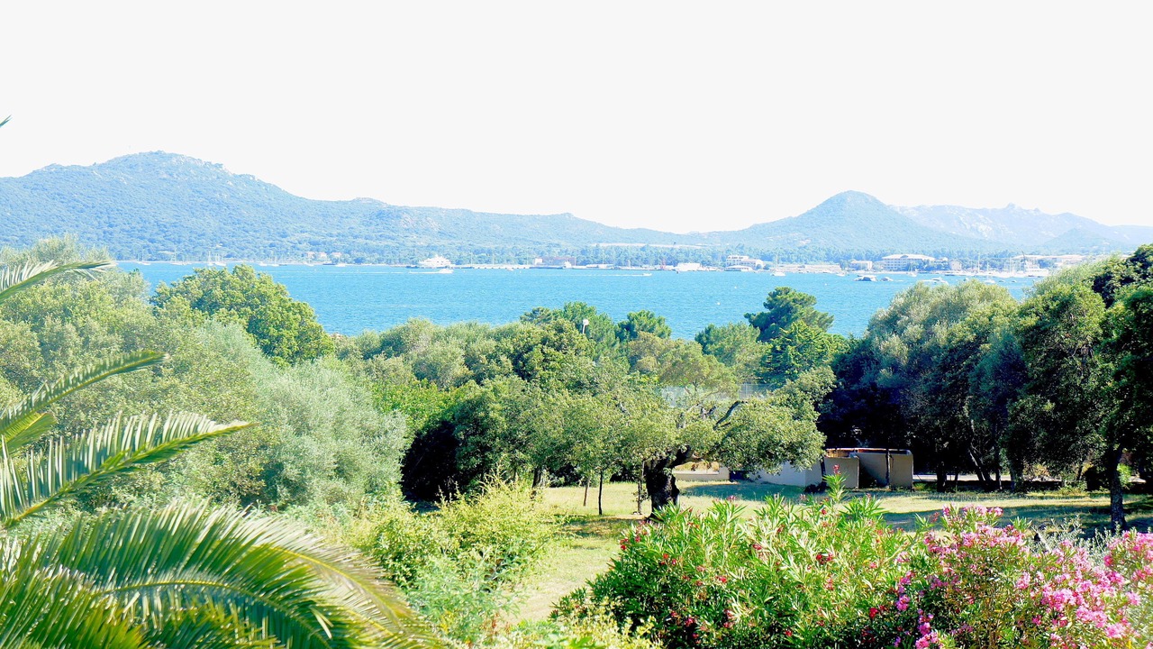 Photo of Outdoor in Porto-Vecchio