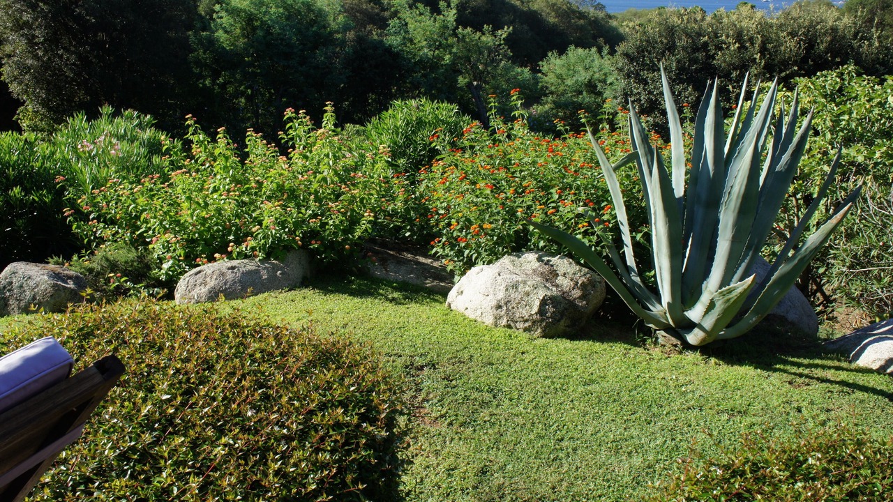 Photo of Outdoor in Porto-Vecchio