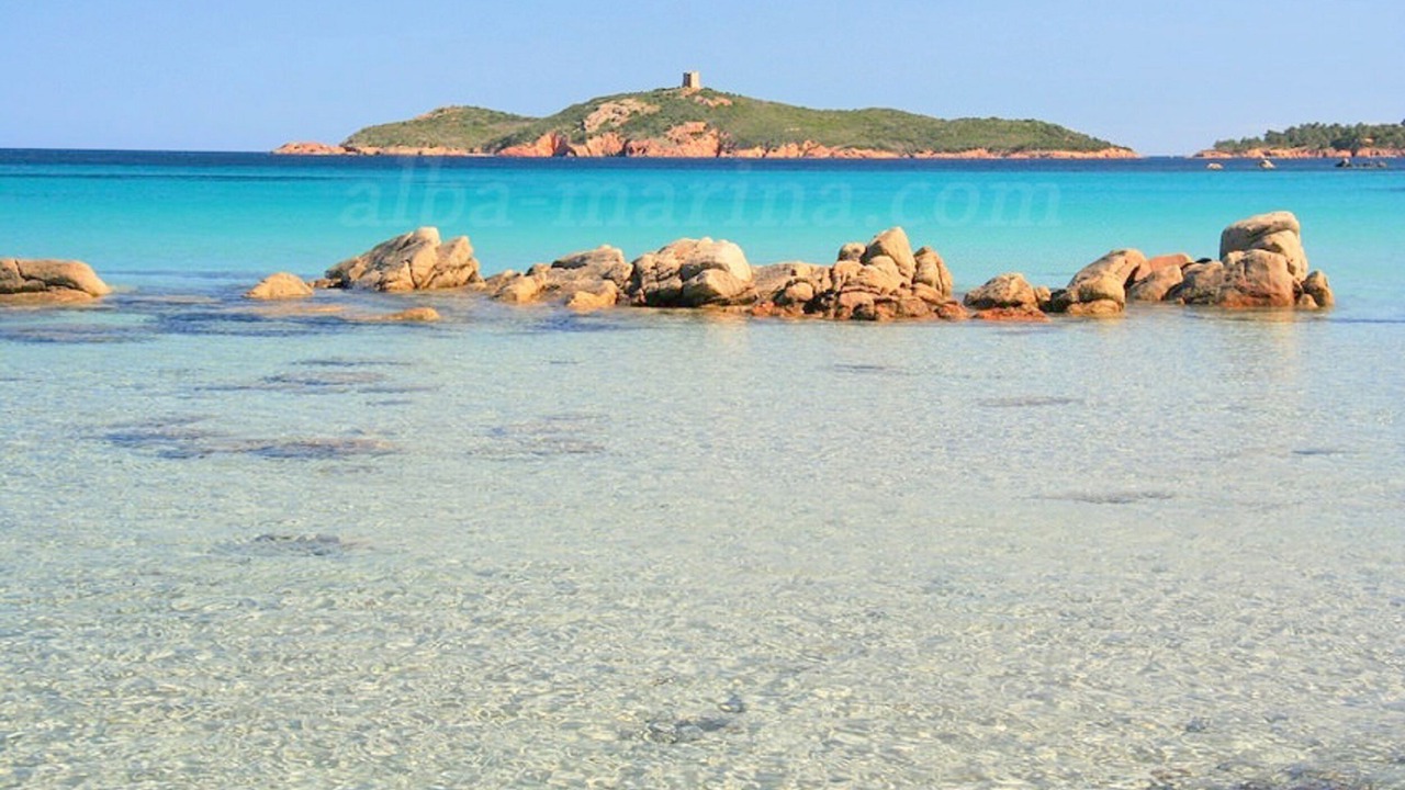 Photo of Others in Porto-Vecchio
