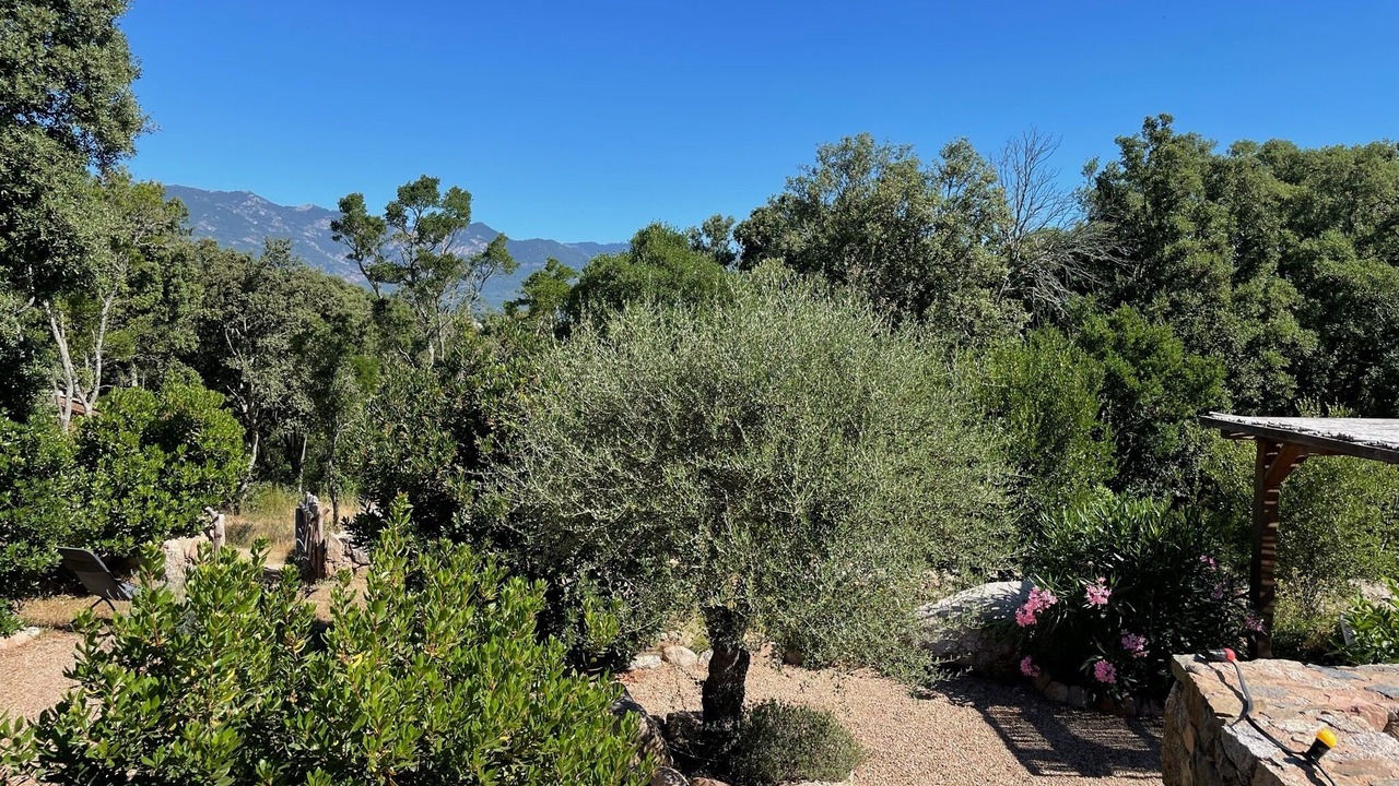 Photo of Outdoor in Santa Giulia