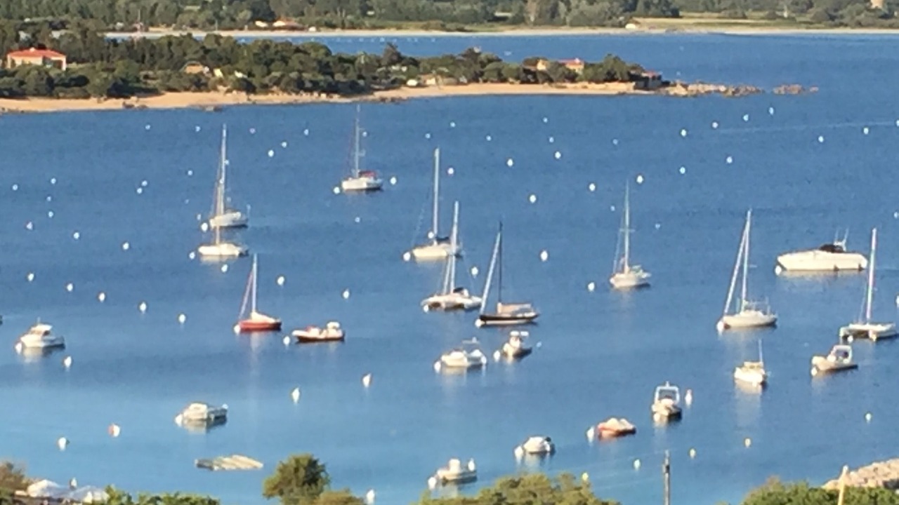 Photo of Others in Porto Pollo