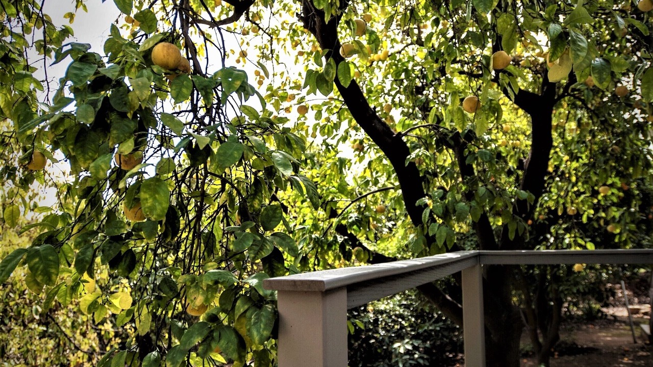 Photo of Outdoor in Mount Helix