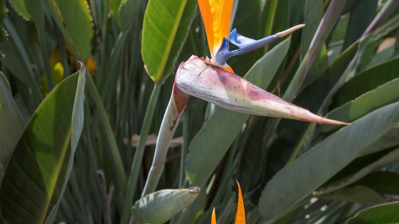 Photo of Others in Mount Helix