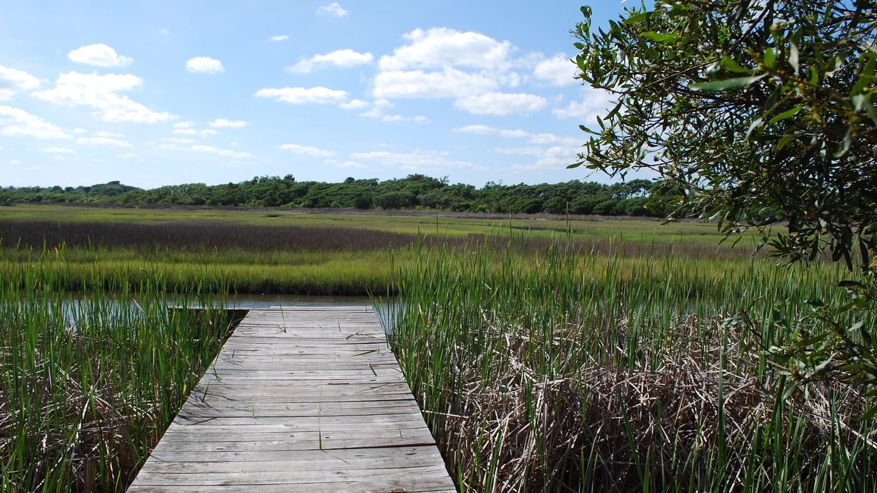 Photo of Outdoor in Surf City