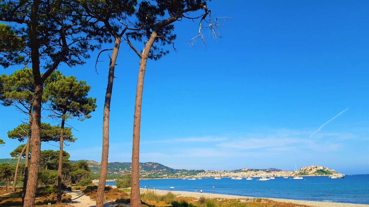 Photo of Others in Calvi