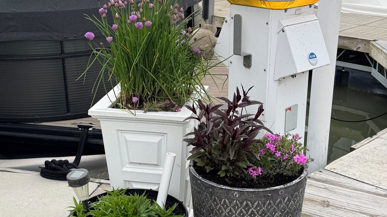 Photo of Outdoor in Port Clinton
