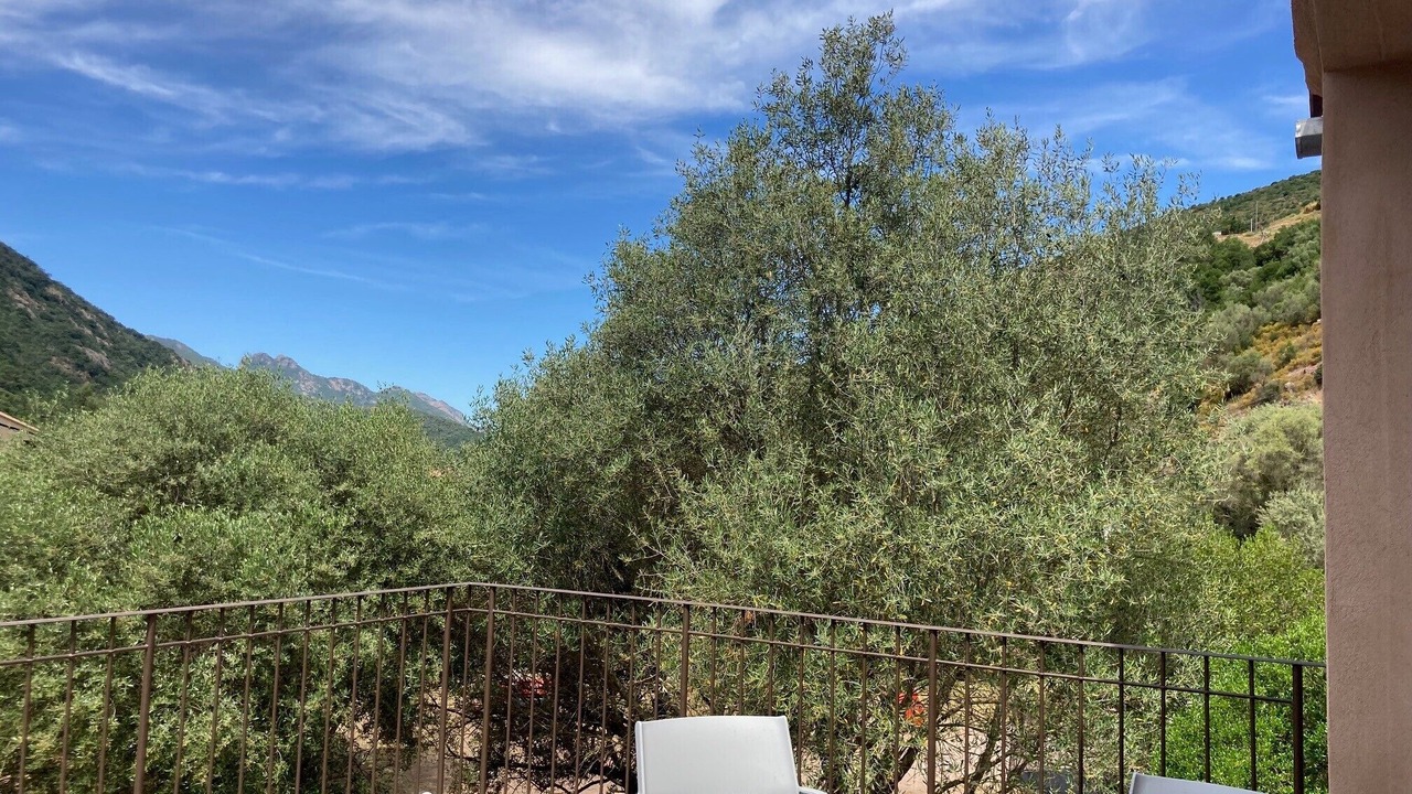 Photo of Outdoor in Manso