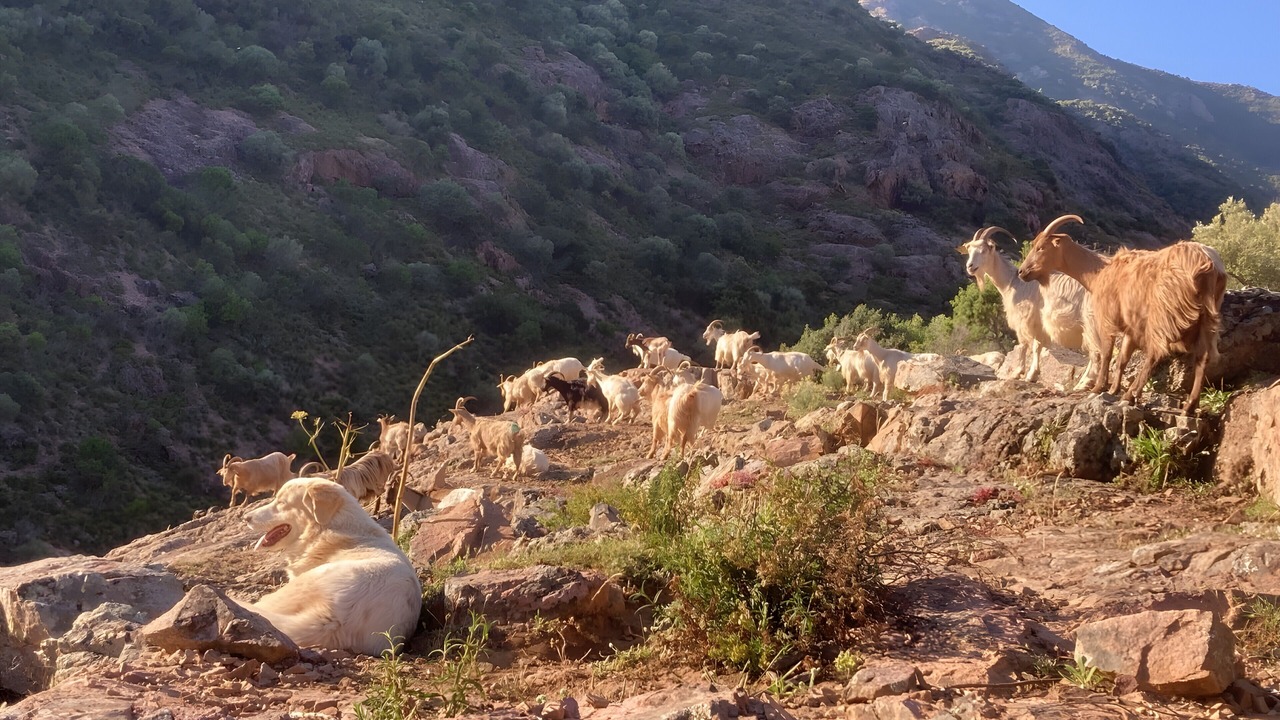 Photo of Others in Manso