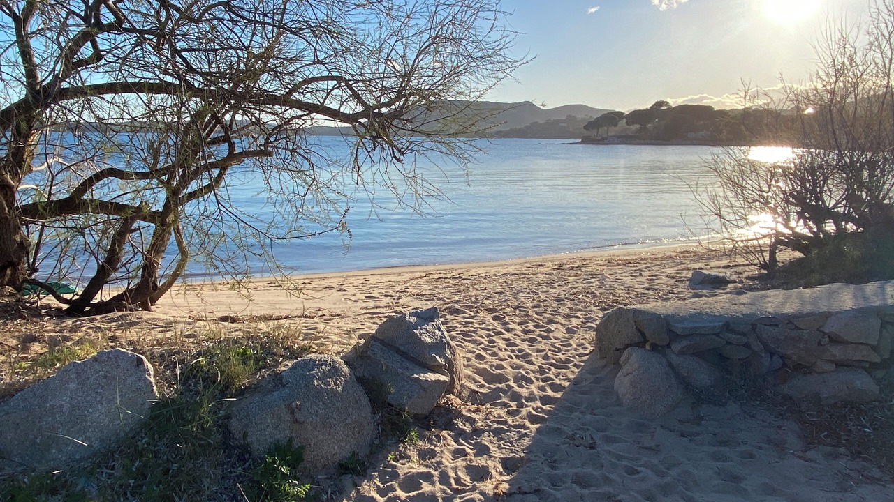 Photo of Others in Pinarellu