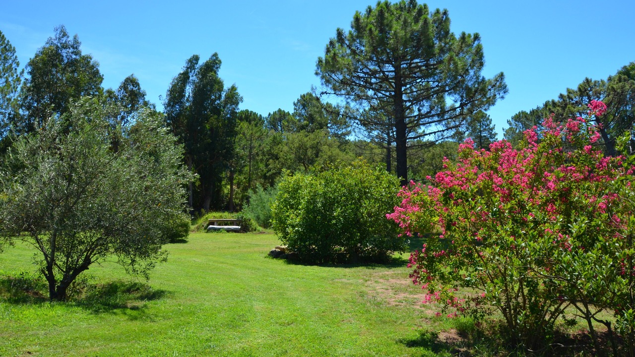 Photo of Outdoor in San-Gavino-di-Carbini