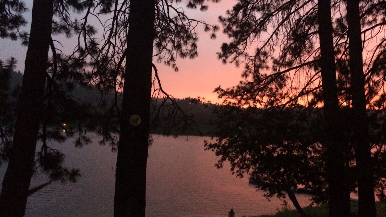 Photo of Others in Newman Lake