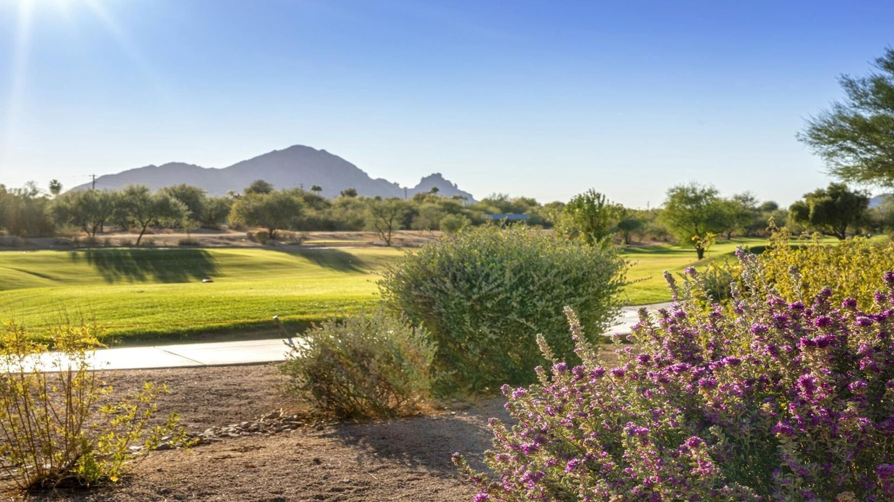 Photo of Others in South Scottsdale