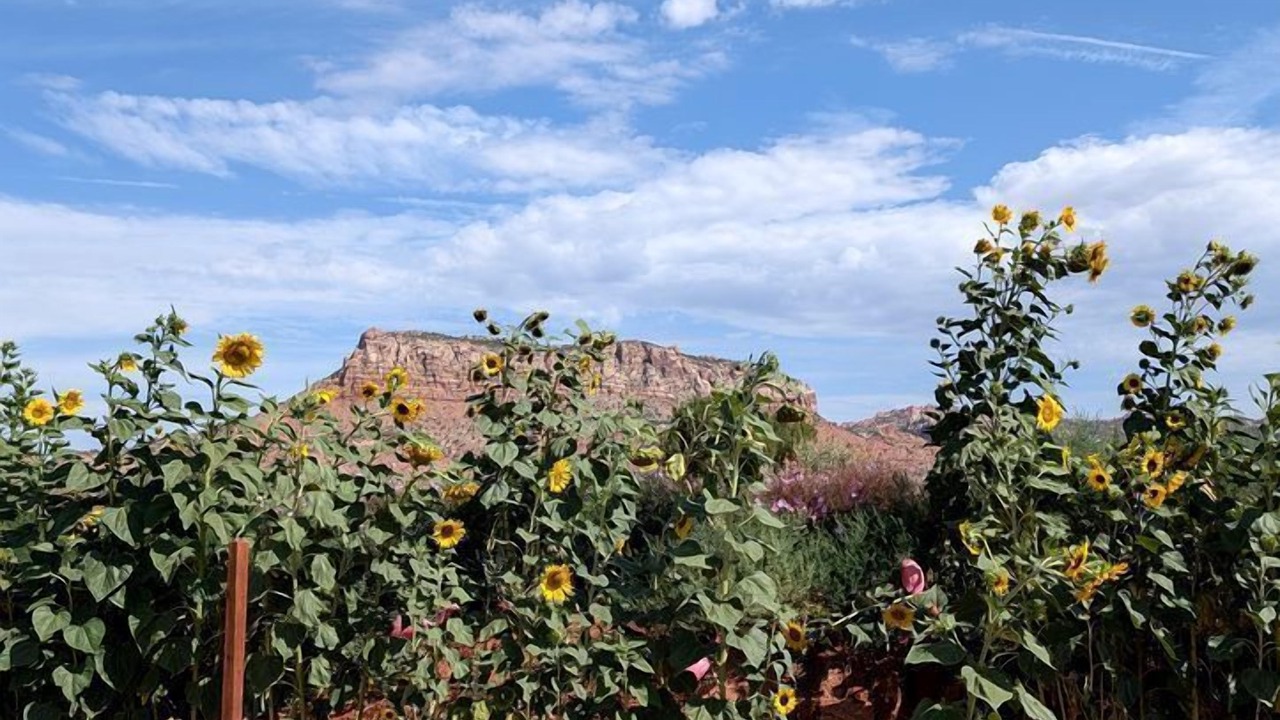 Photo of Others in Mohave County