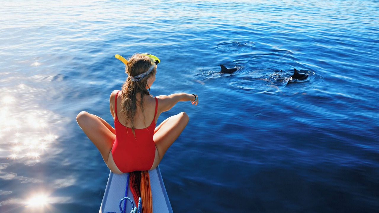 Photo of Others in Corse-du-Sud