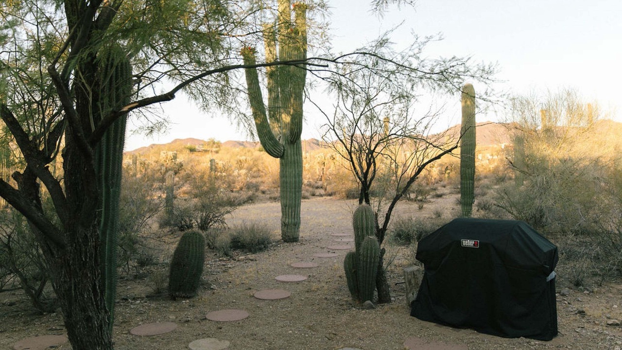 Photo of Others in Tucson