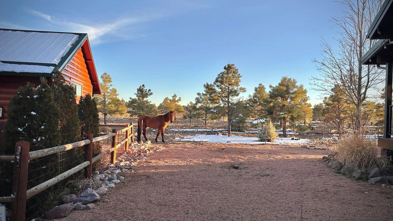 Photo of Others in Heber