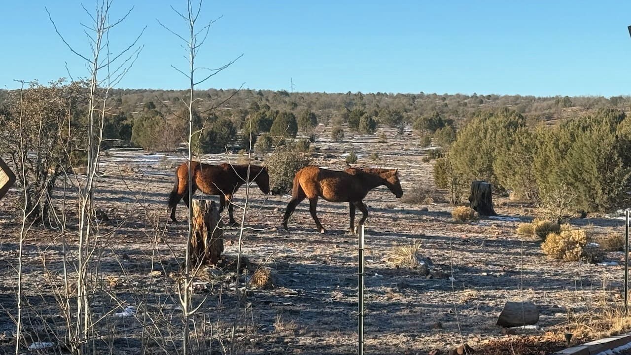 Photo of Others in Heber