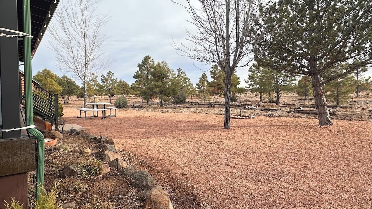 Photo of Outdoor in Heber