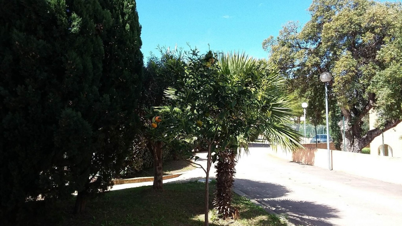 Photo of Outdoor in Bravone