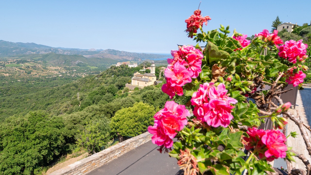 Photo of Others in Poggio-dʼOletta