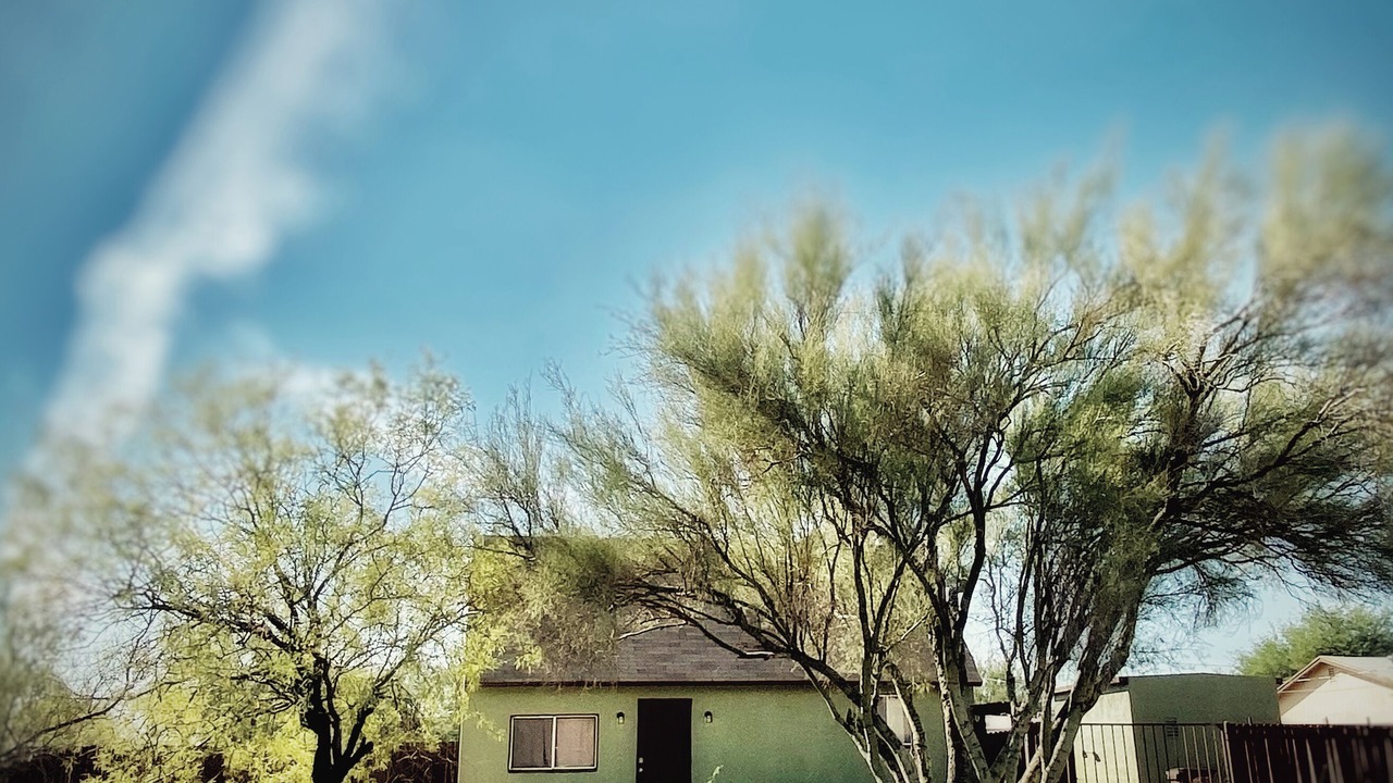 Photo of Outdoor in Drexel Heights