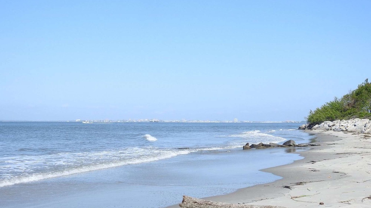 Photo of Others in Charleston