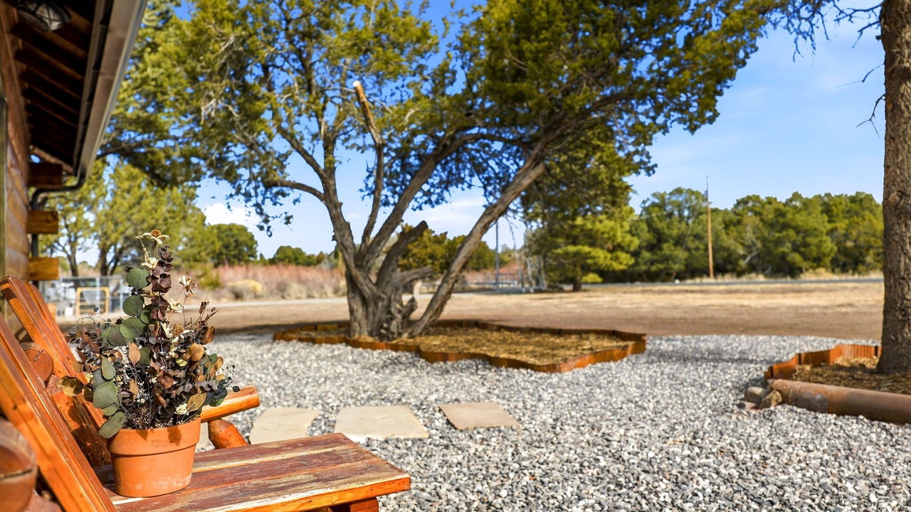 Photo of Outdoor in Springerville