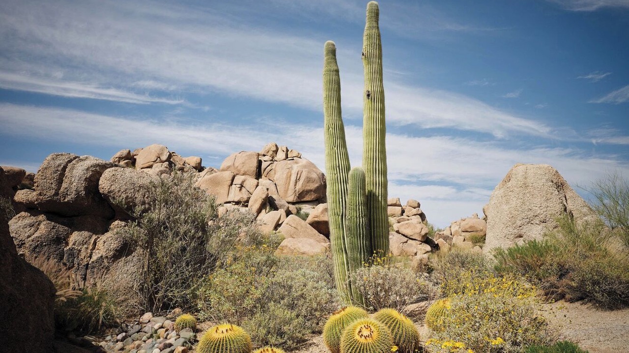 Photo of Others in North Scottsdale