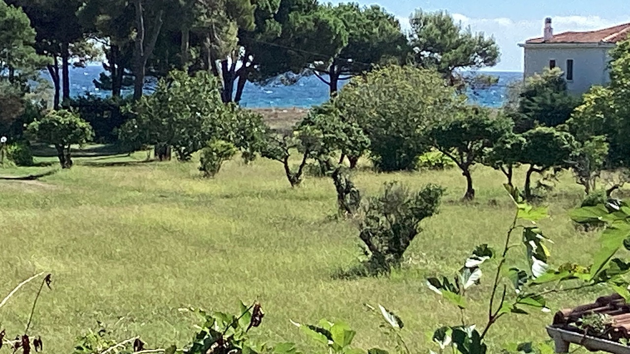 Photo of Others in Taglio-Isolaccio