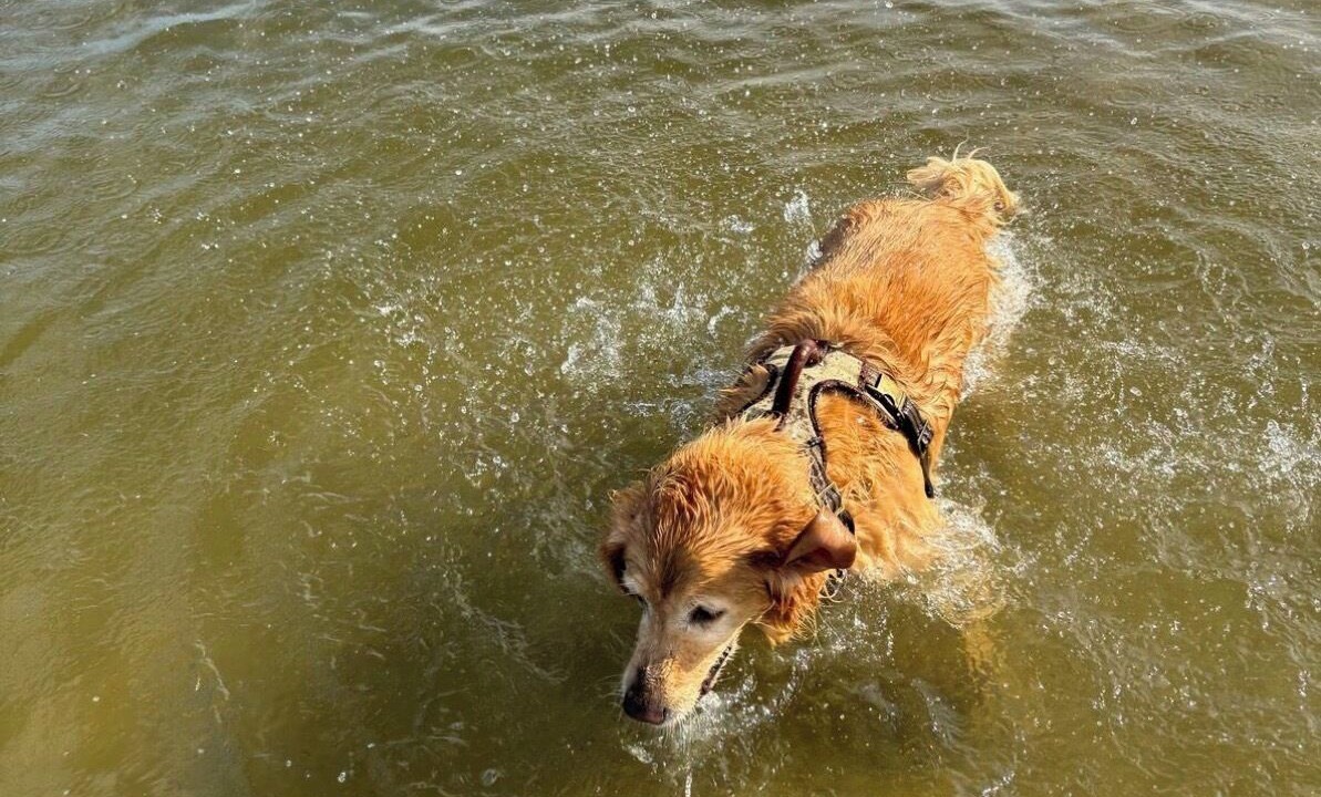 Photo of Others in Calvert Beach-Long Beach
