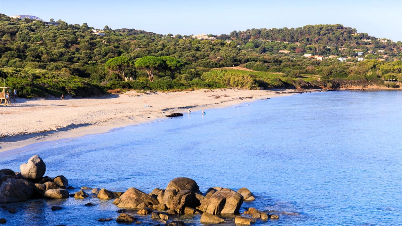 Photo of Others in Corbara