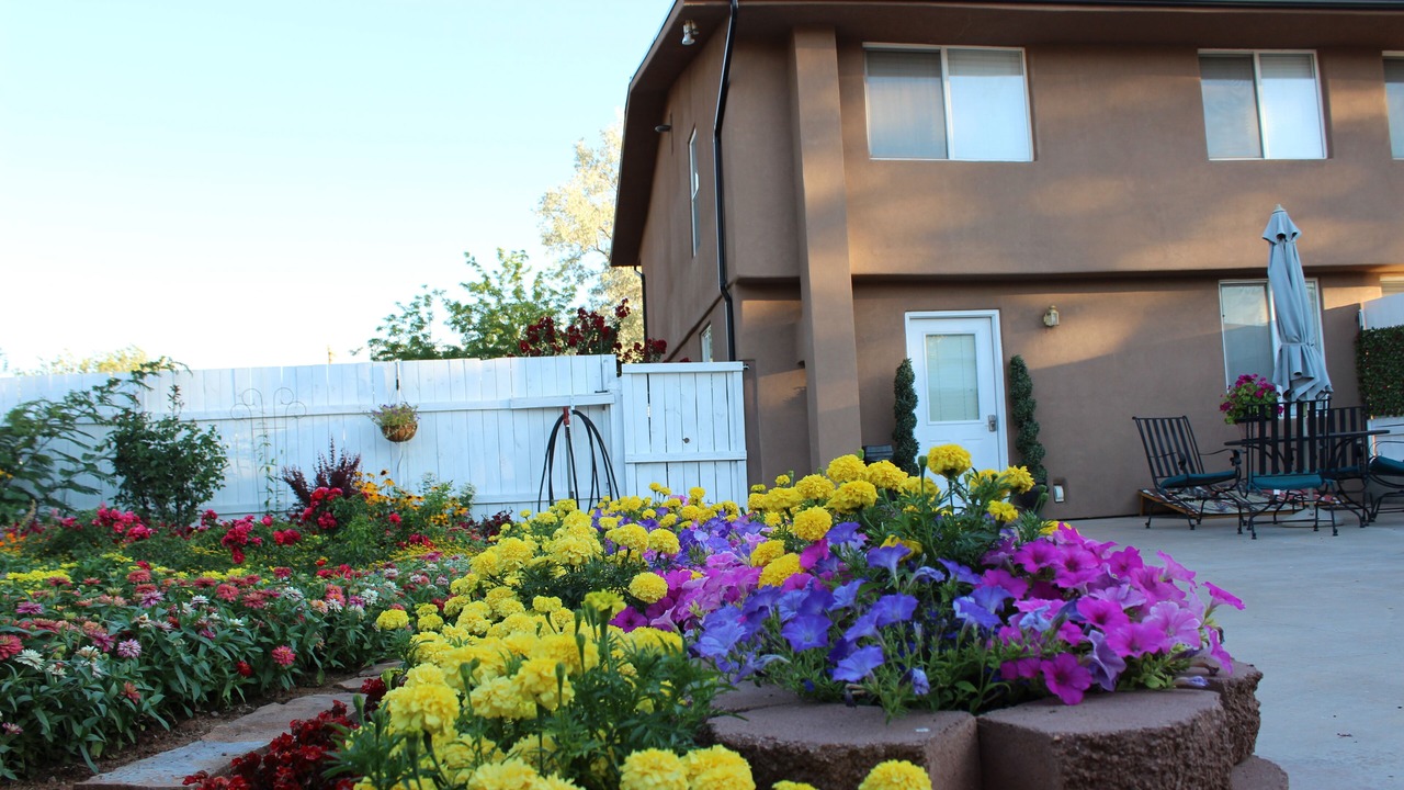 Photo of Patio Balcony in Colorado City