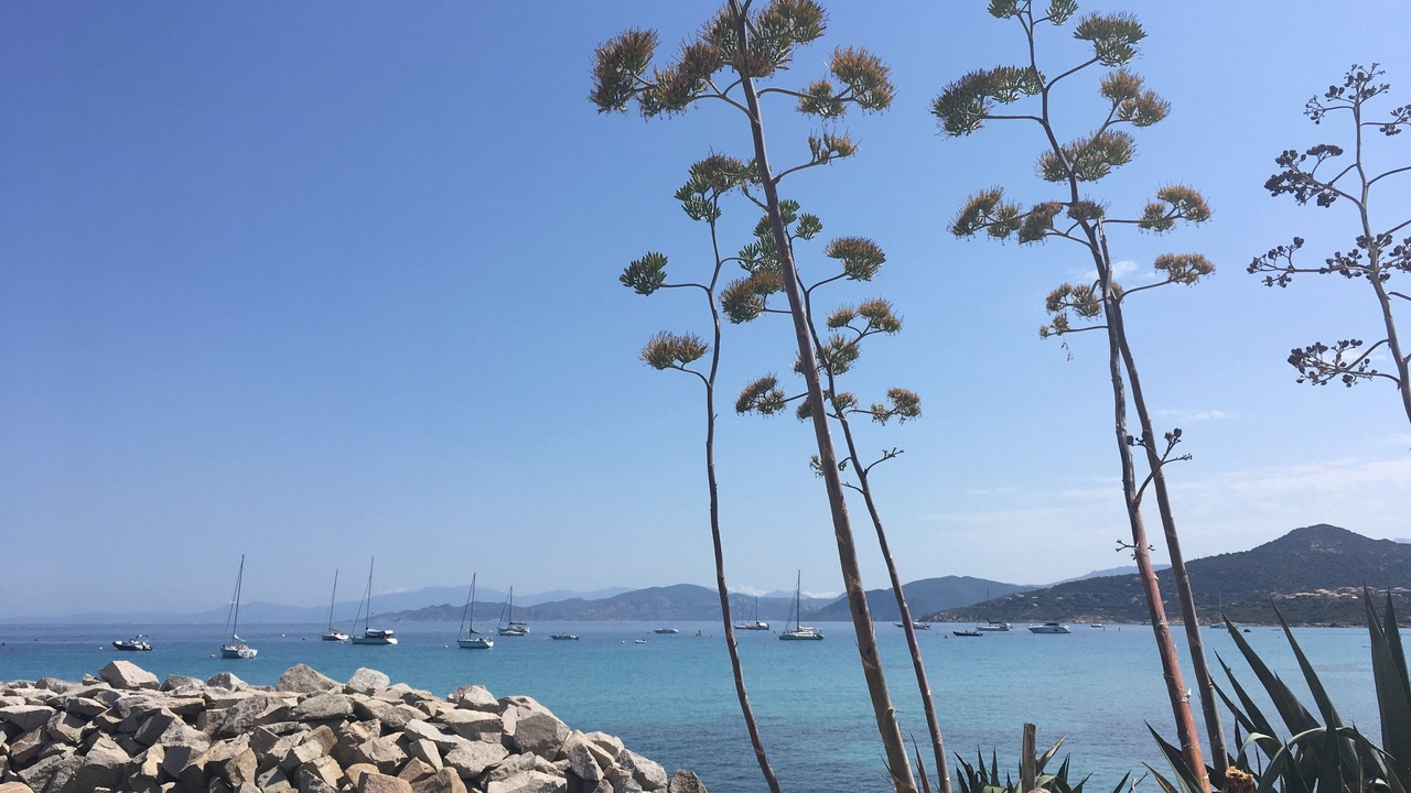 Photo of Others in L'Ile-Rousse