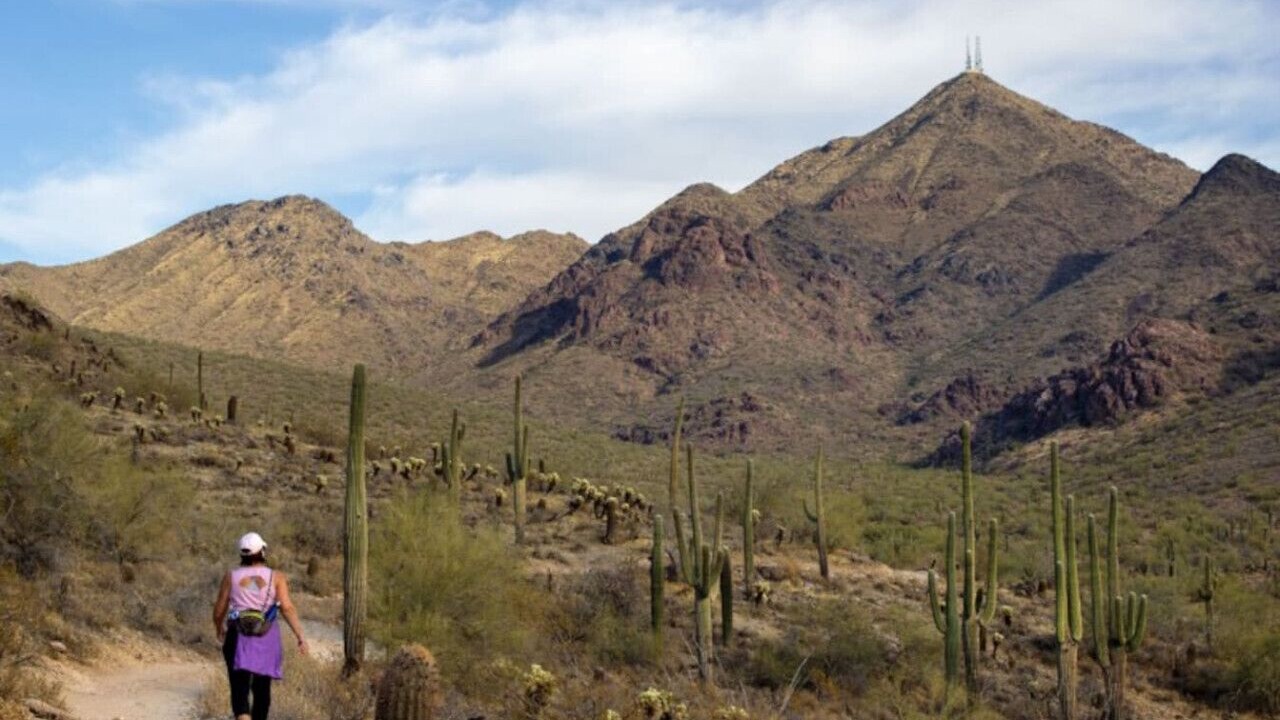 Photo of Others in Fountain Hills