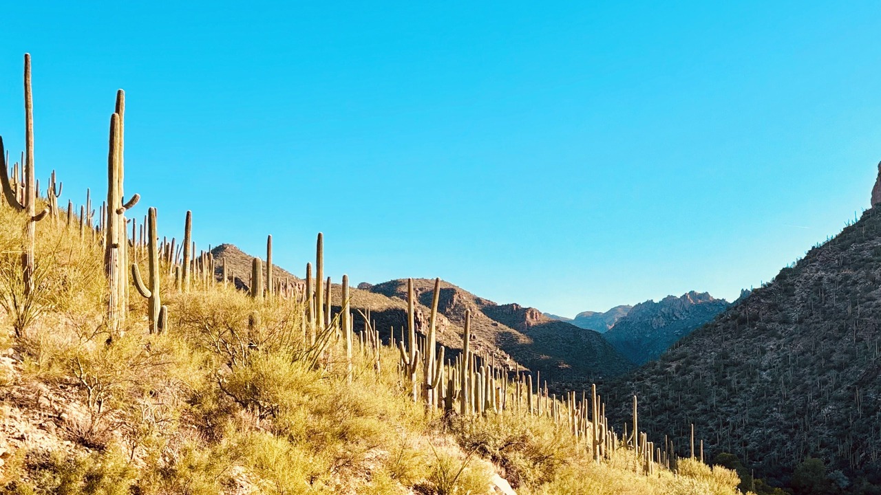 Photo of Others in Ventana De Sabino North