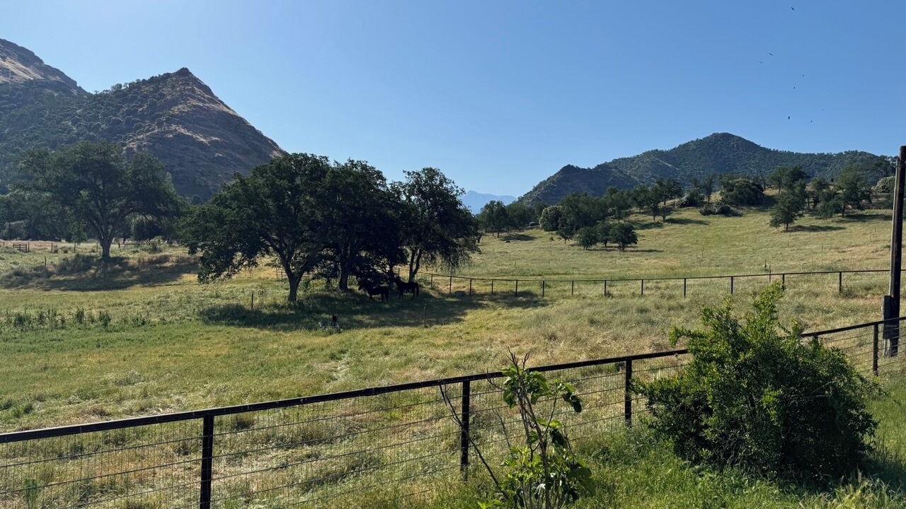 Photo of Outdoor in Three Rivers