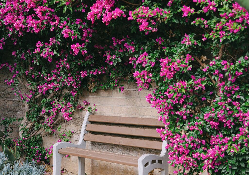 Photo of Outdoor in Golden Hill
