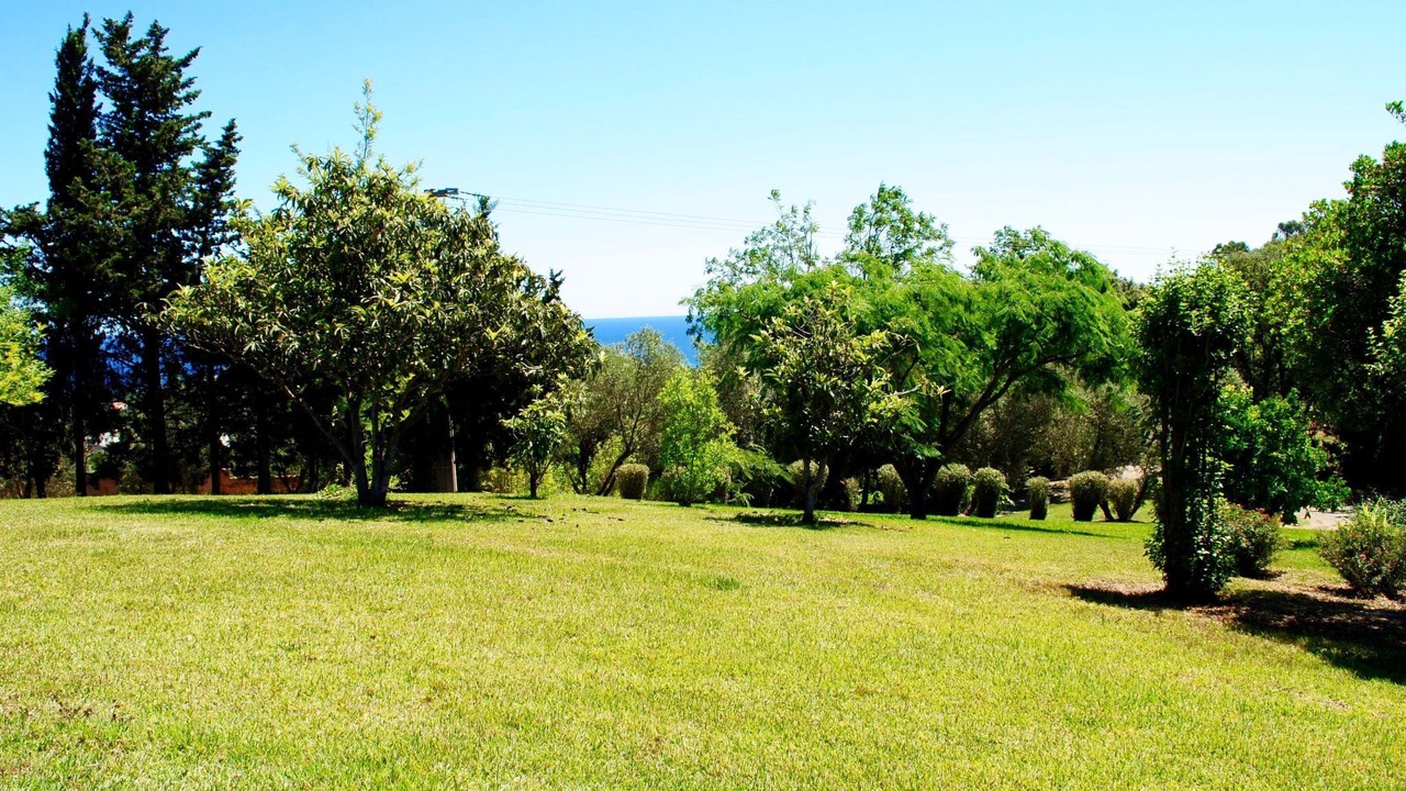 Photo of Outdoor in Cervione