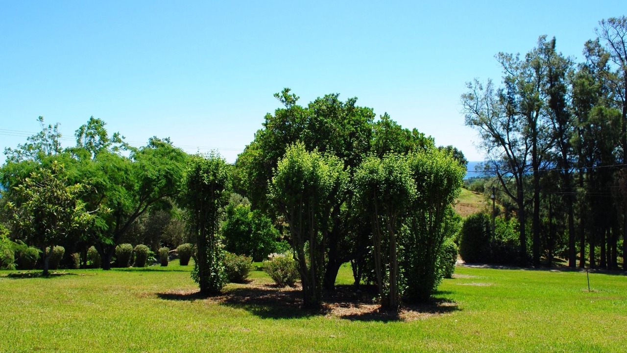 Photo of Others in Cervione