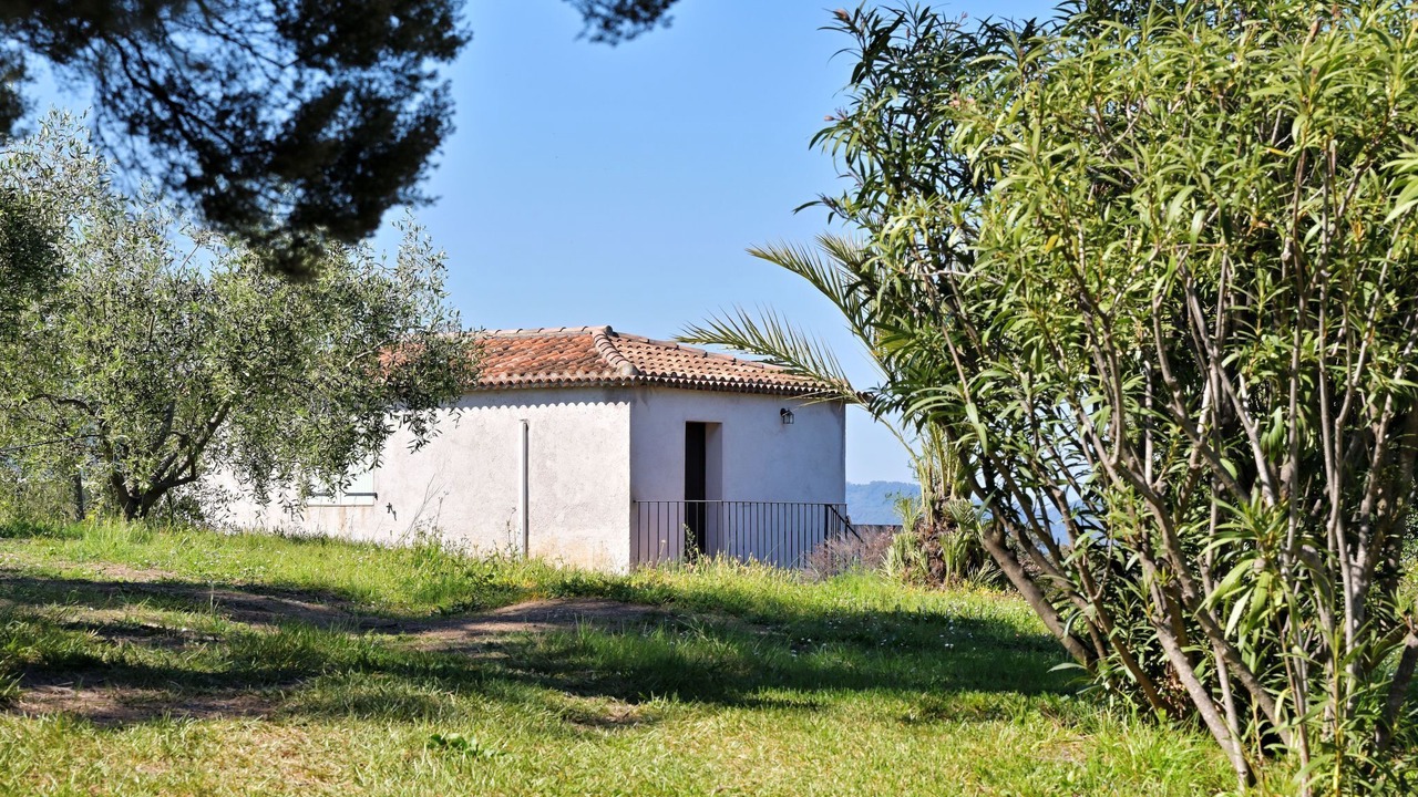 Photo of Others in Cervione