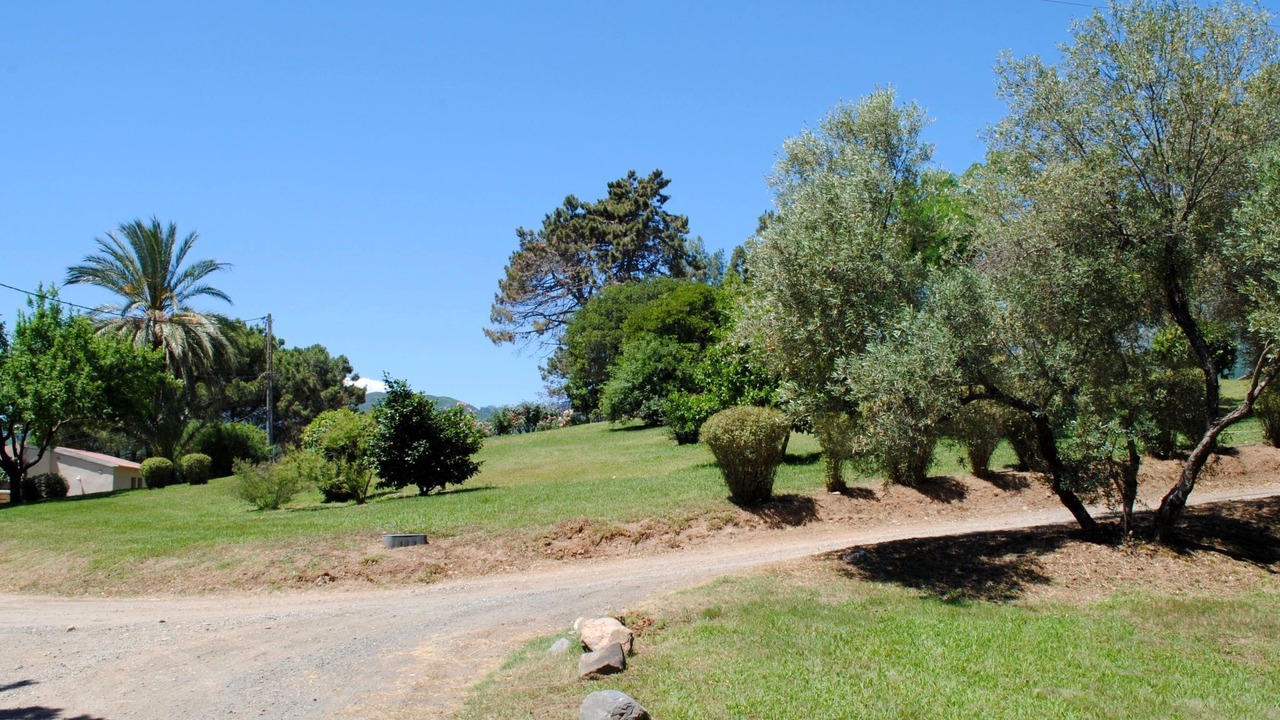 Photo of Others in Cervione