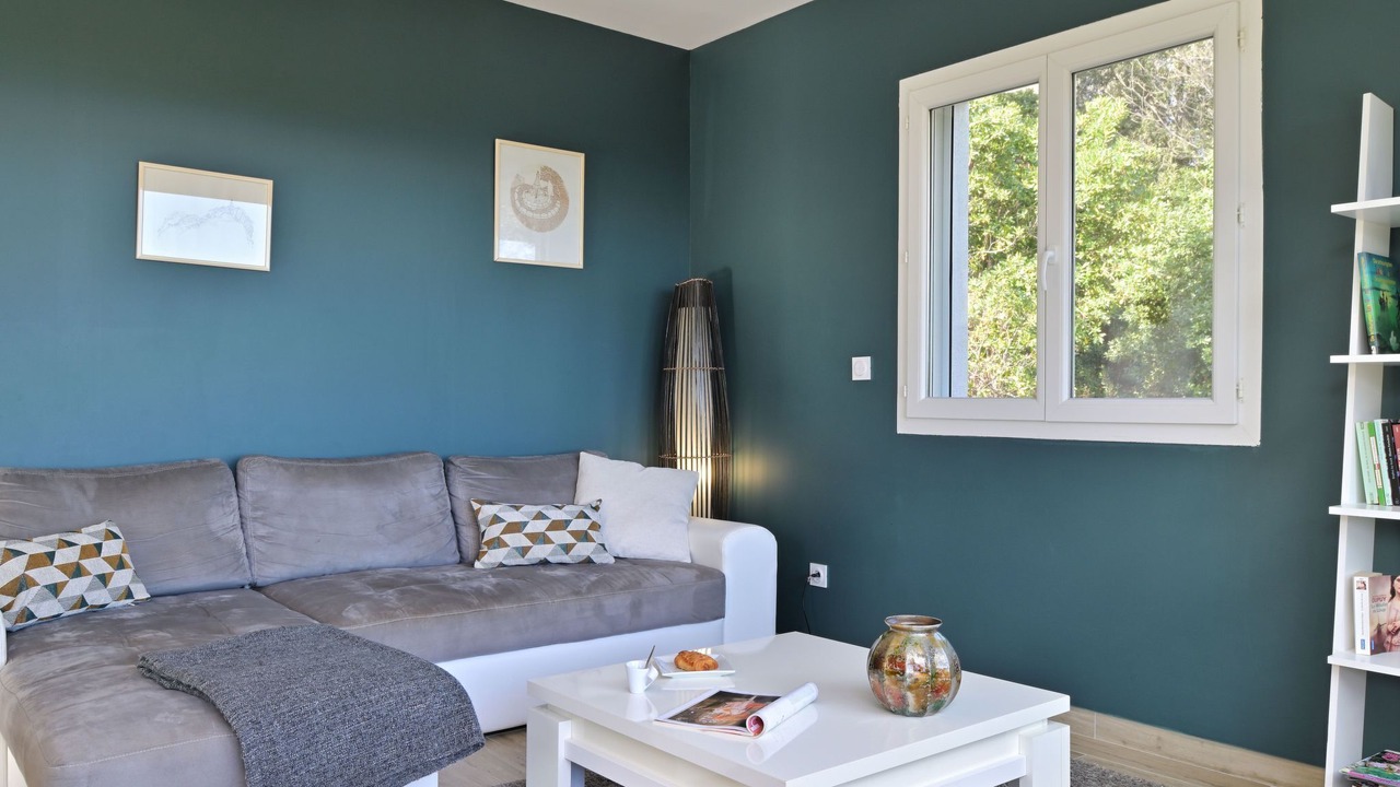 Photo of Livingroom in Cervione