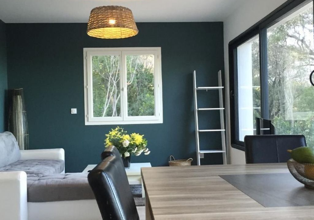 Photo of Livingroom in Cervione