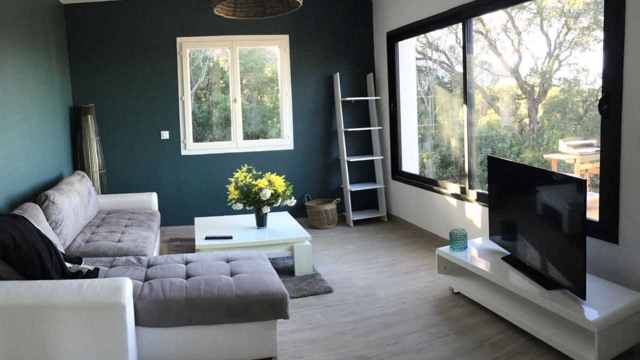 Photo of Livingroom in Cervione